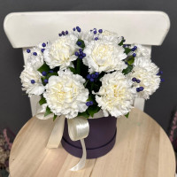 Snow-white carnations in a hat box